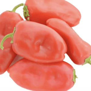 A bunch of fresh red bell peppers with green stems.